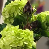 橋爪生花店