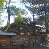 淀城