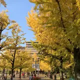熊本県庁