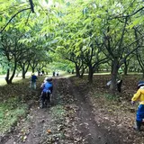 まる八いけだ農園