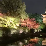 東寺 五重塔