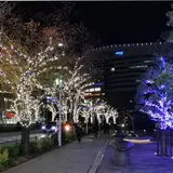 さくら通り