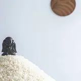 田ノ実 自由が丘