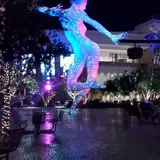 The Park