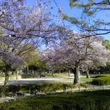 千種公園