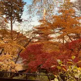 金剛寺（高幡不動尊）
