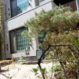 ワウ ファクター ステイ