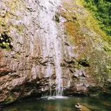 Manoa Falls