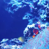 ワイキキ水族館
