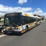 TheBus