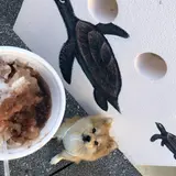 新垣ぜんざい屋
