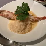ミモザ （MIMOSA）