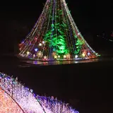 宮ヶ瀬