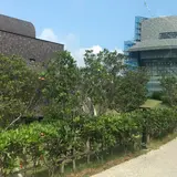 OISTシーサイドハウス