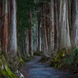戸隠神社