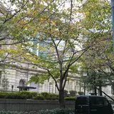 日本銀行本館