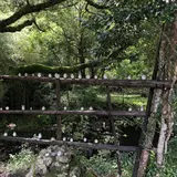 トトロのバス停
