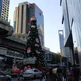 ロータスマッサージ