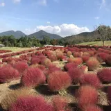 まんのう公園