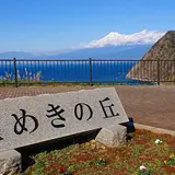 煌めきの丘