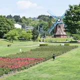 道の駅ぐりーんふらわー牧場・大胡