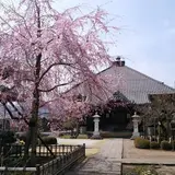 青梅山 無量寿院 金剛寺