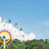 ハーベストの丘