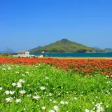 フラワーパーク浦島
