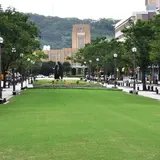 みなと大通り公園