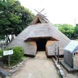 田能遺跡