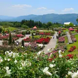 かのやばら園