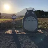 高原町のトトロ