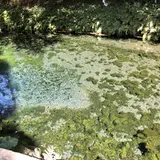 白川水源