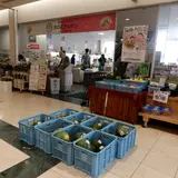木の花ガルテンももち浜店