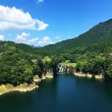 すきむらんど