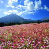 生駒高原
