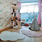 猫専用ペットホテル『ねこべや羽田空港店』