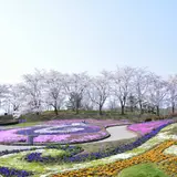 国営みちのく杜の湖畔公園