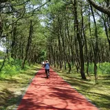 阿波岐原森林公園