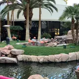 Flamingo Hotel