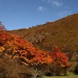 恵山つつじ公園