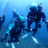 PADI ダイビングスクール 城ヶ島ダイビングセンター