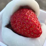 ろまんちっく村