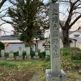本薬師寺跡　ホテイアオイ