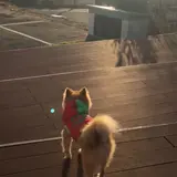 リブマックスリゾート 京丹後シーフロント
