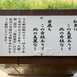 笹川流れ遊覧船