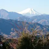 高尾ビジターセンター
