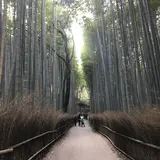 京都