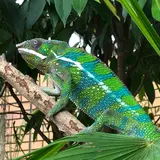 体感型動物園 『iZoo』