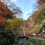 箕面公園